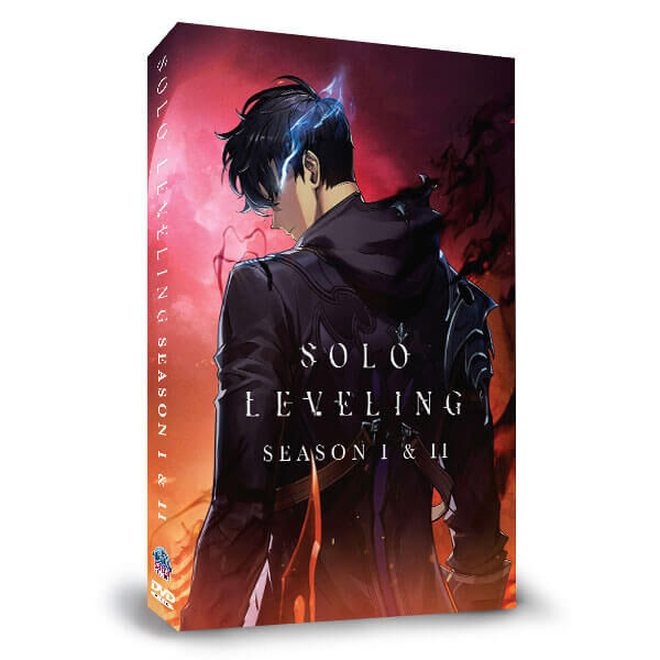 sololevelingown1.jpg
