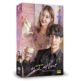 The Law Cafe DVD (Korean Drama)