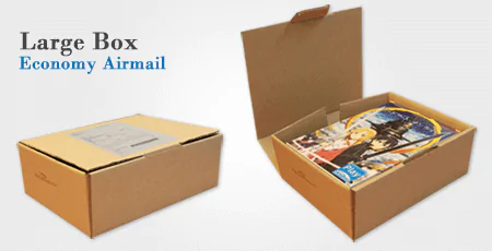 Registered Airmail Large Box