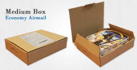 Registered Airmail Medium Box